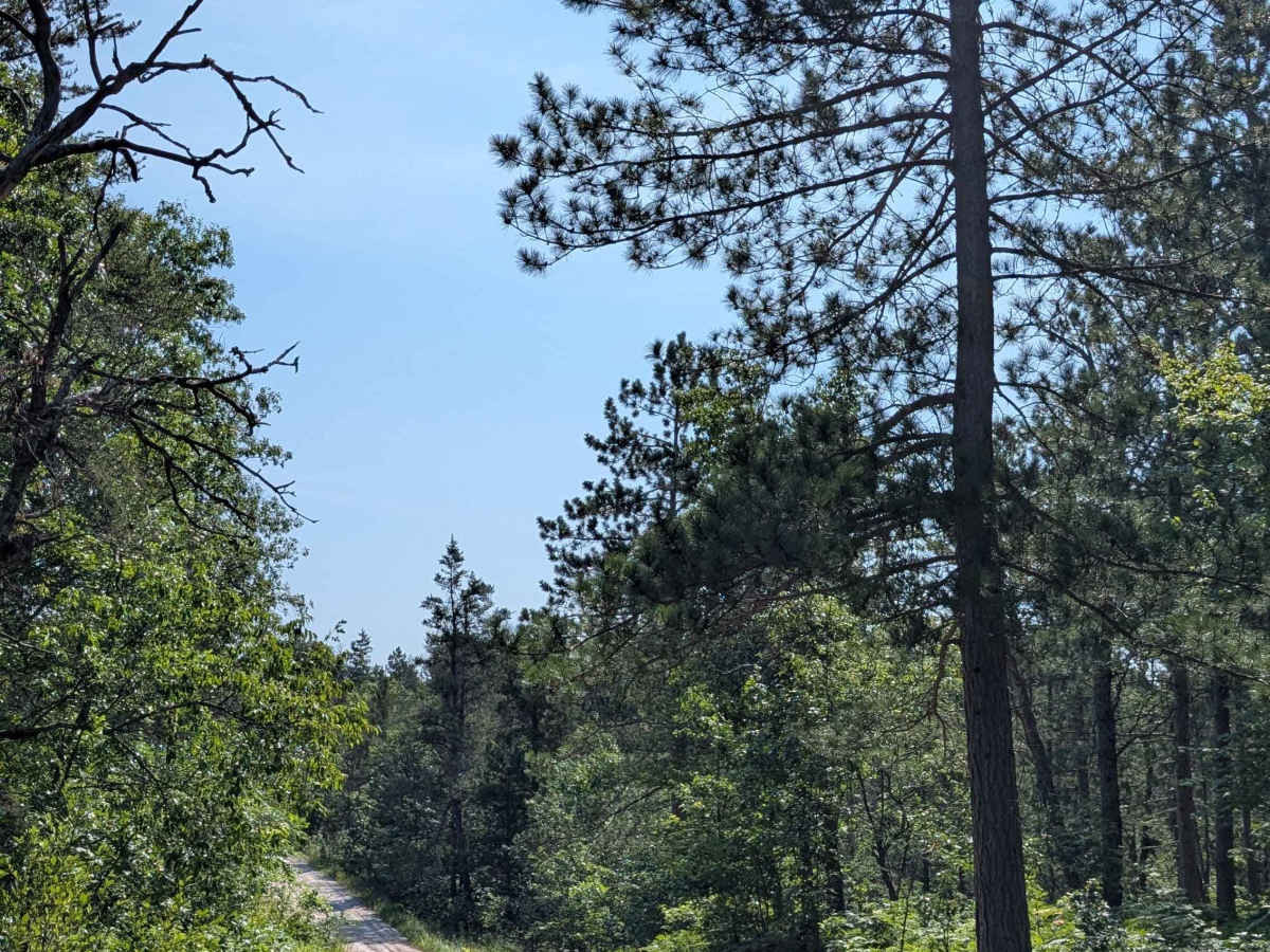 Vaughn Trail - FS 4462 photo 6