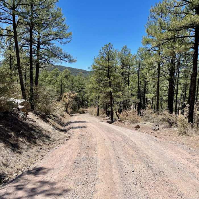 Near Continental Divide Trail: Gila River Alternate (Part 1)