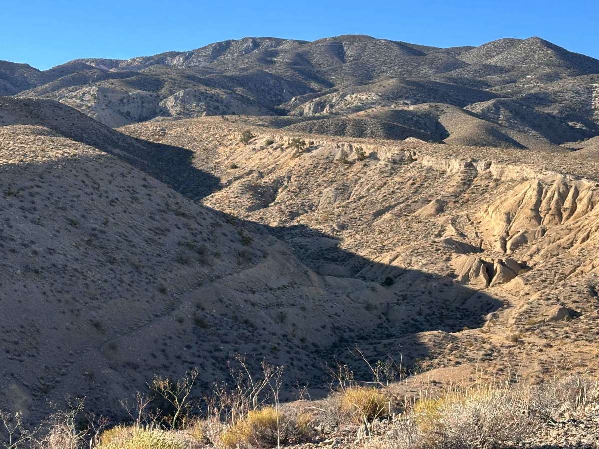 Falcon Ridge trail photo