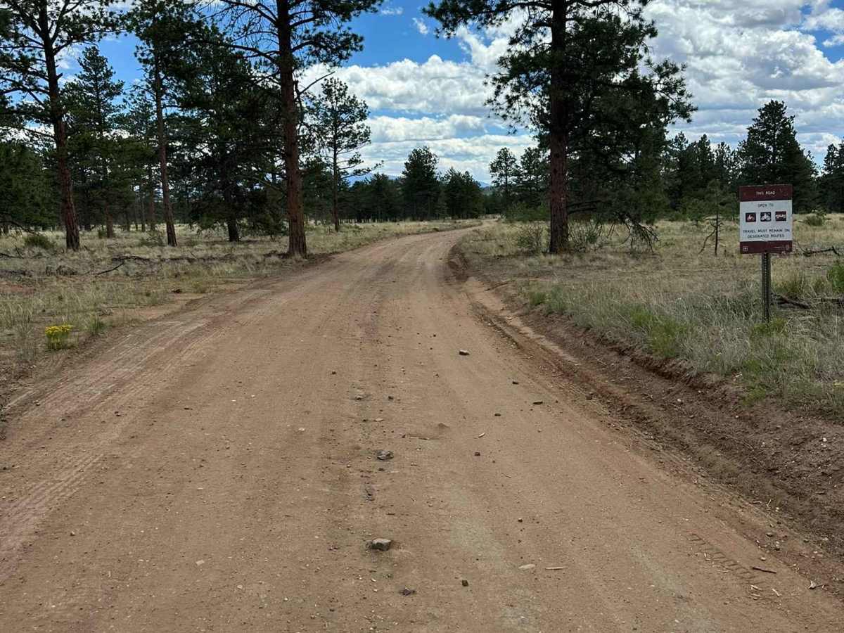 Humps Road - FS 861 trail photo