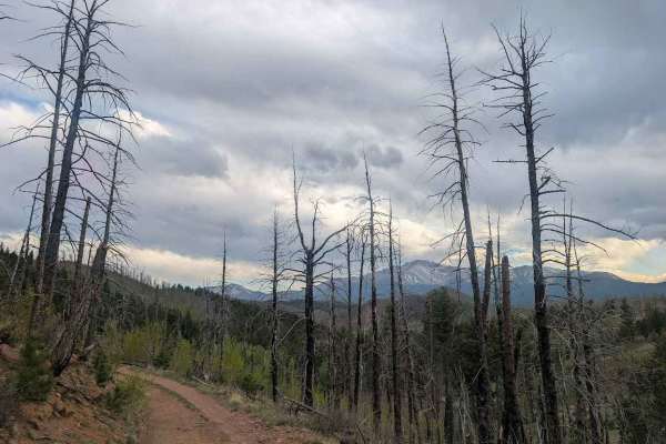 Ormes Peak Road
