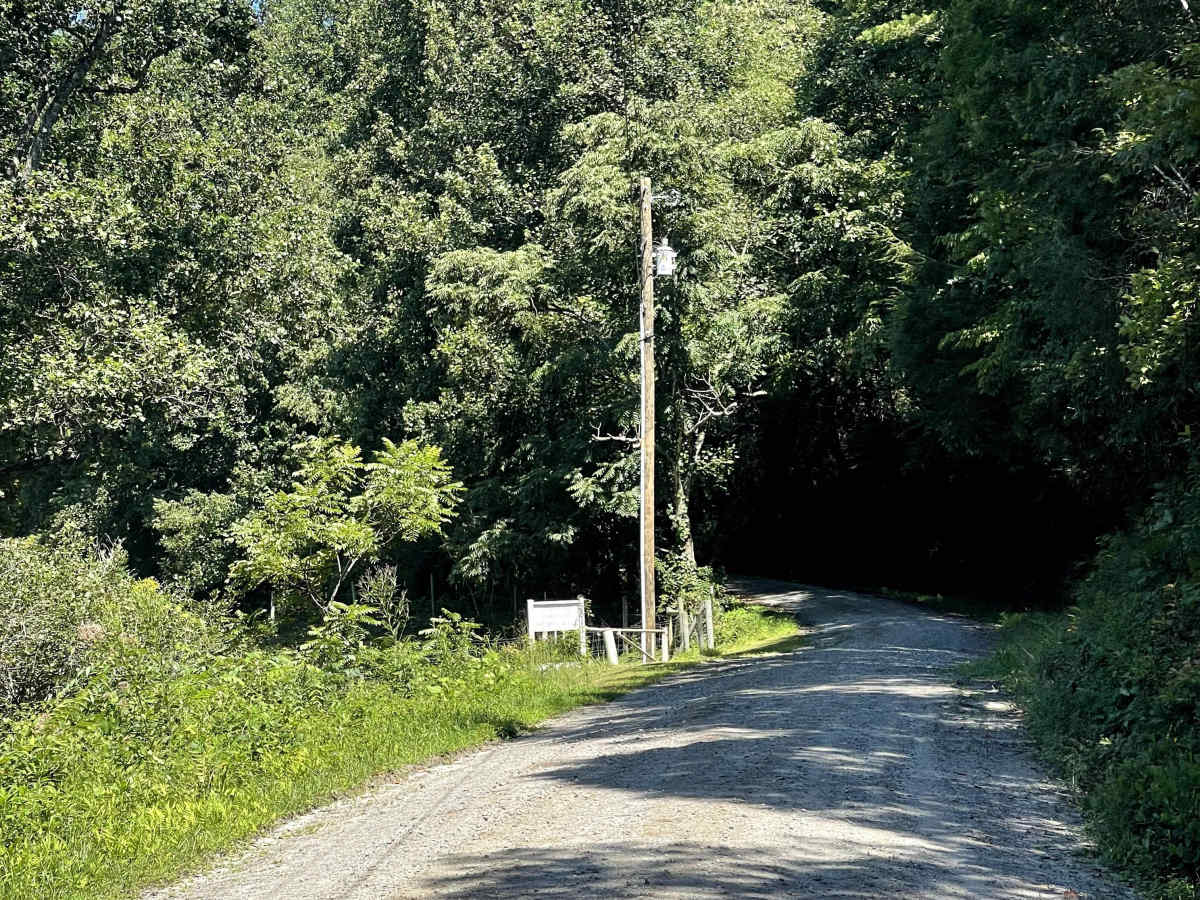 Upton Place trail photo