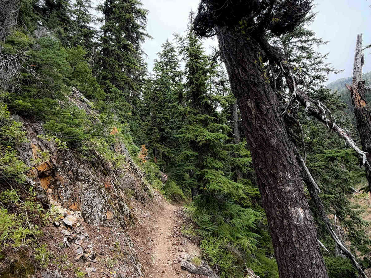 Boulder De Roux (East)  photo 5