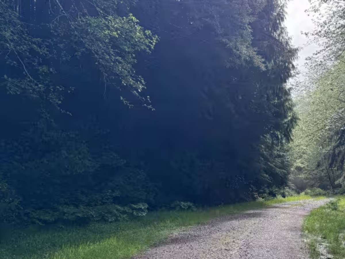 FS 2750 trail photo