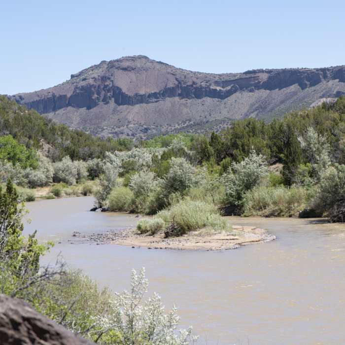 Near Blue Dot Trail