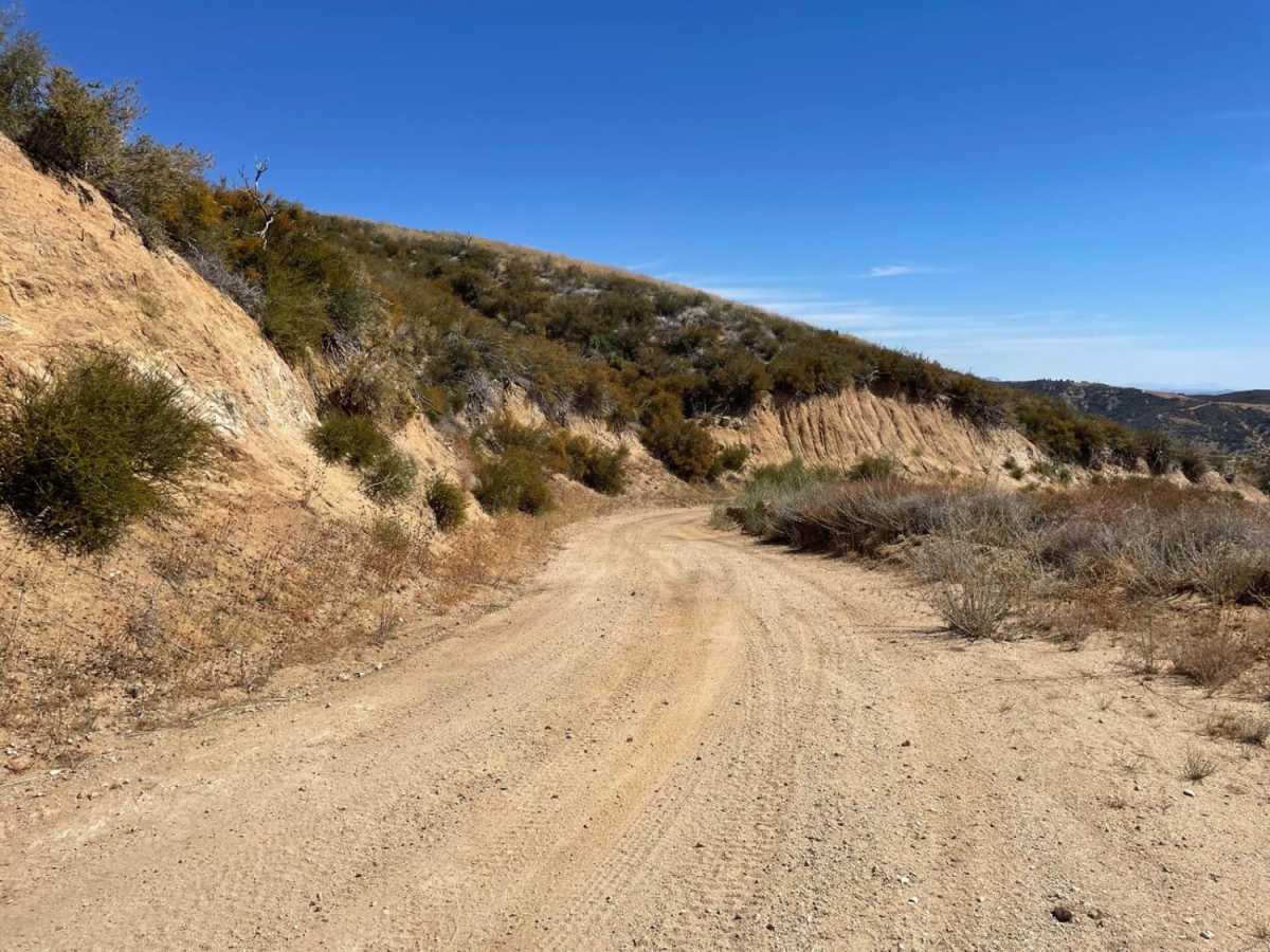Maxwell Road trail photo