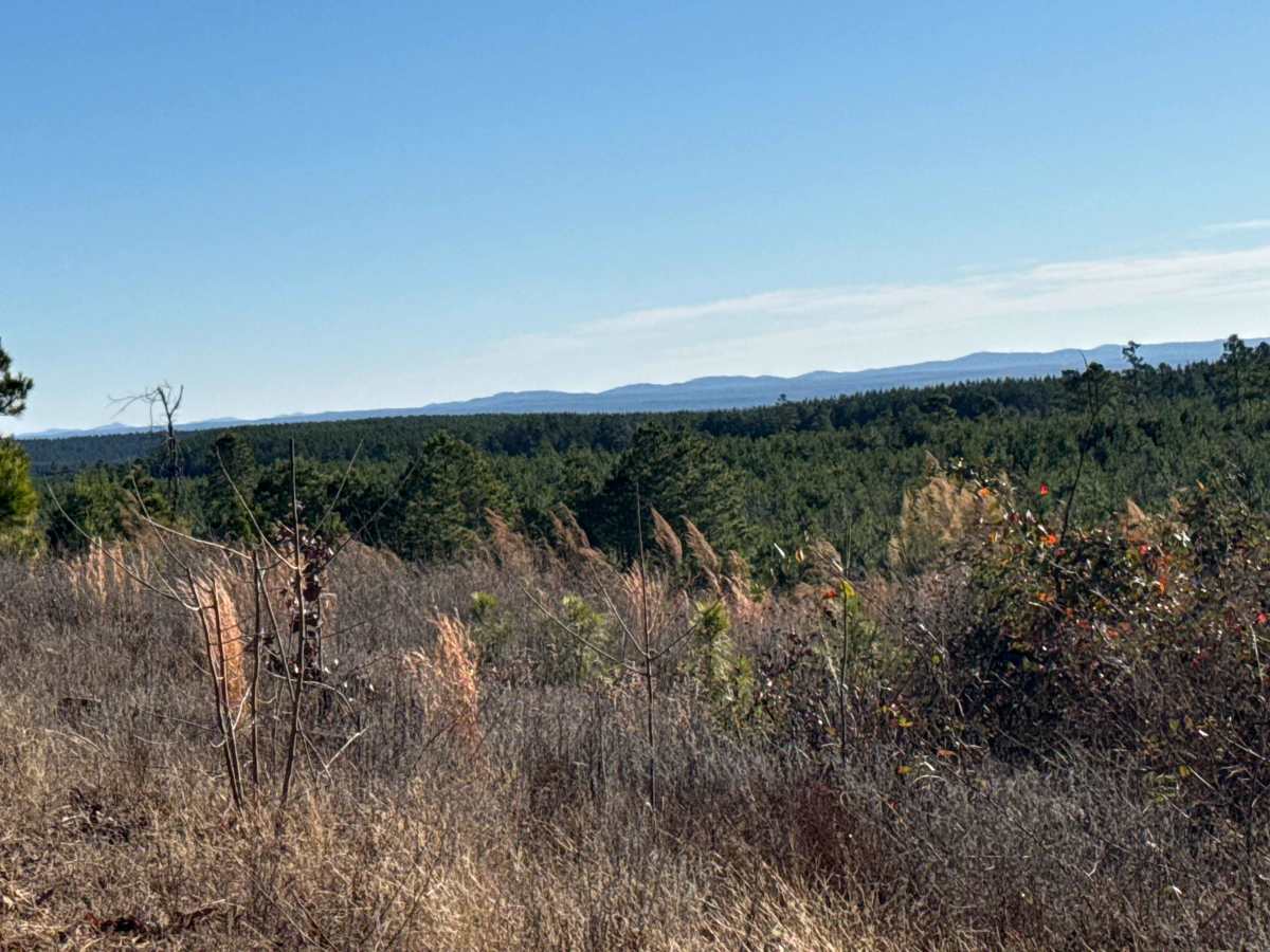 East Signal Mountain photo 6