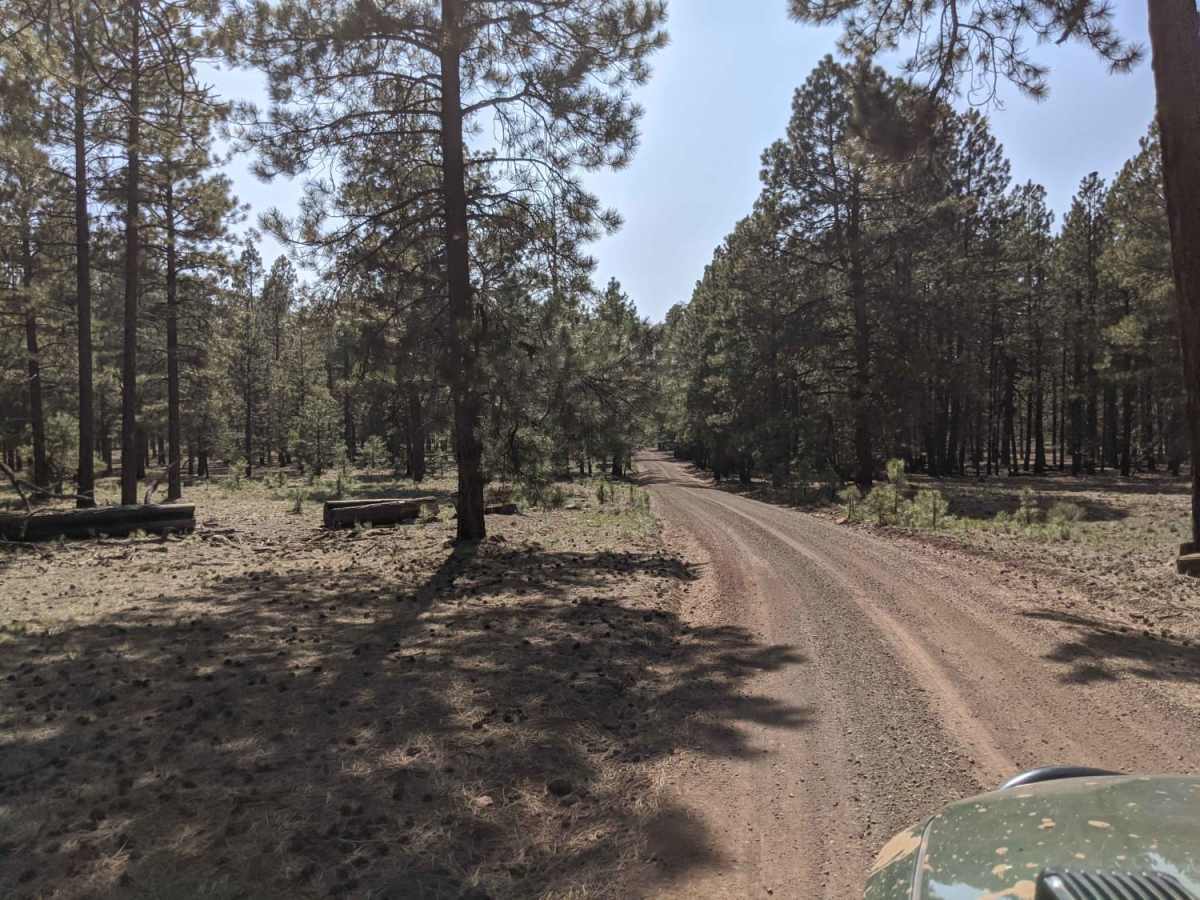 Wind Mountain Trail #410 photo 5