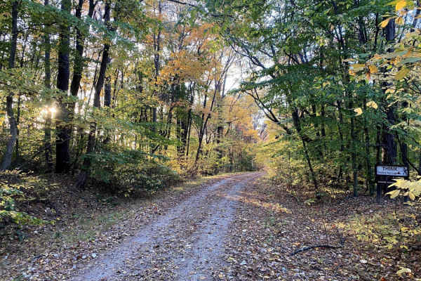 Gale Trail Road FSR 272