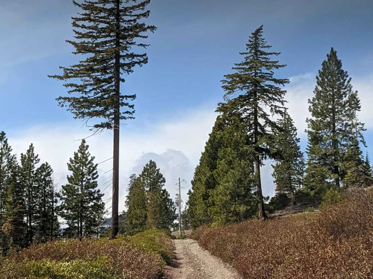Lower Cross District Trail photo 2