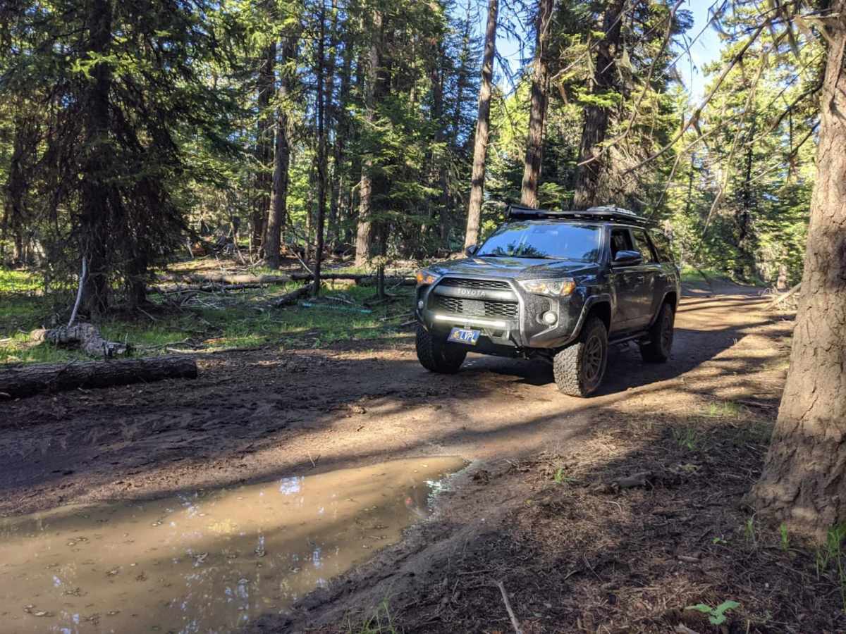 RD 2630 / Summit Trail trail photo