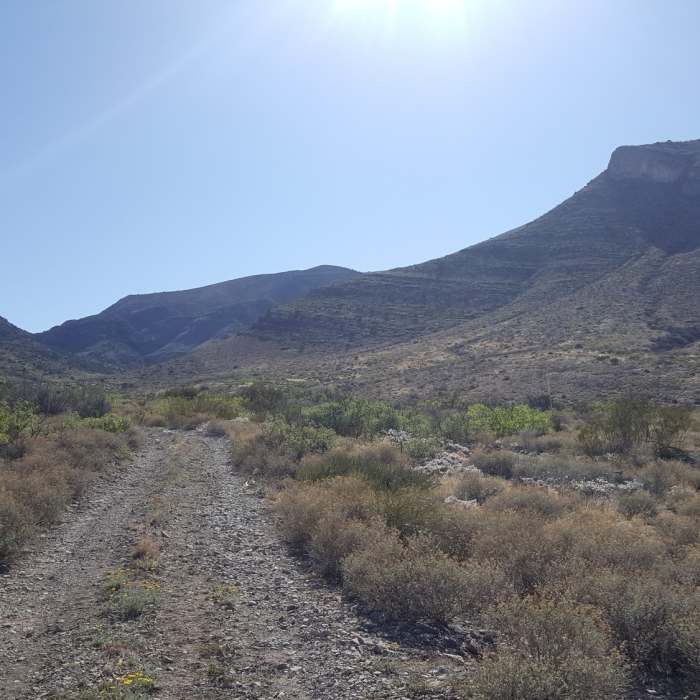Near CDT: Mexico Border to New Mexico State Highway 81 (NM Sec. 1)
