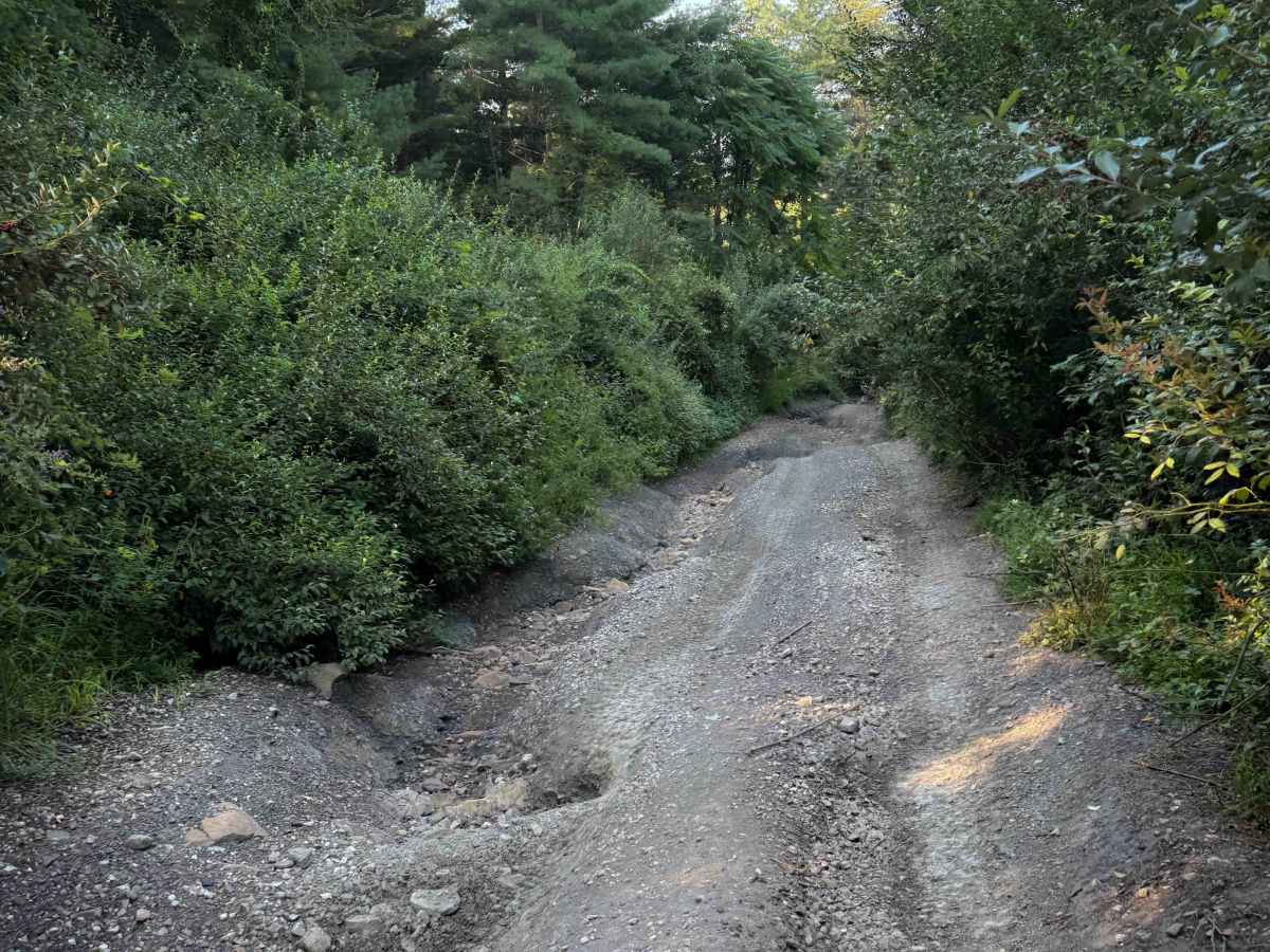 Overlook Trail 36  photo 5