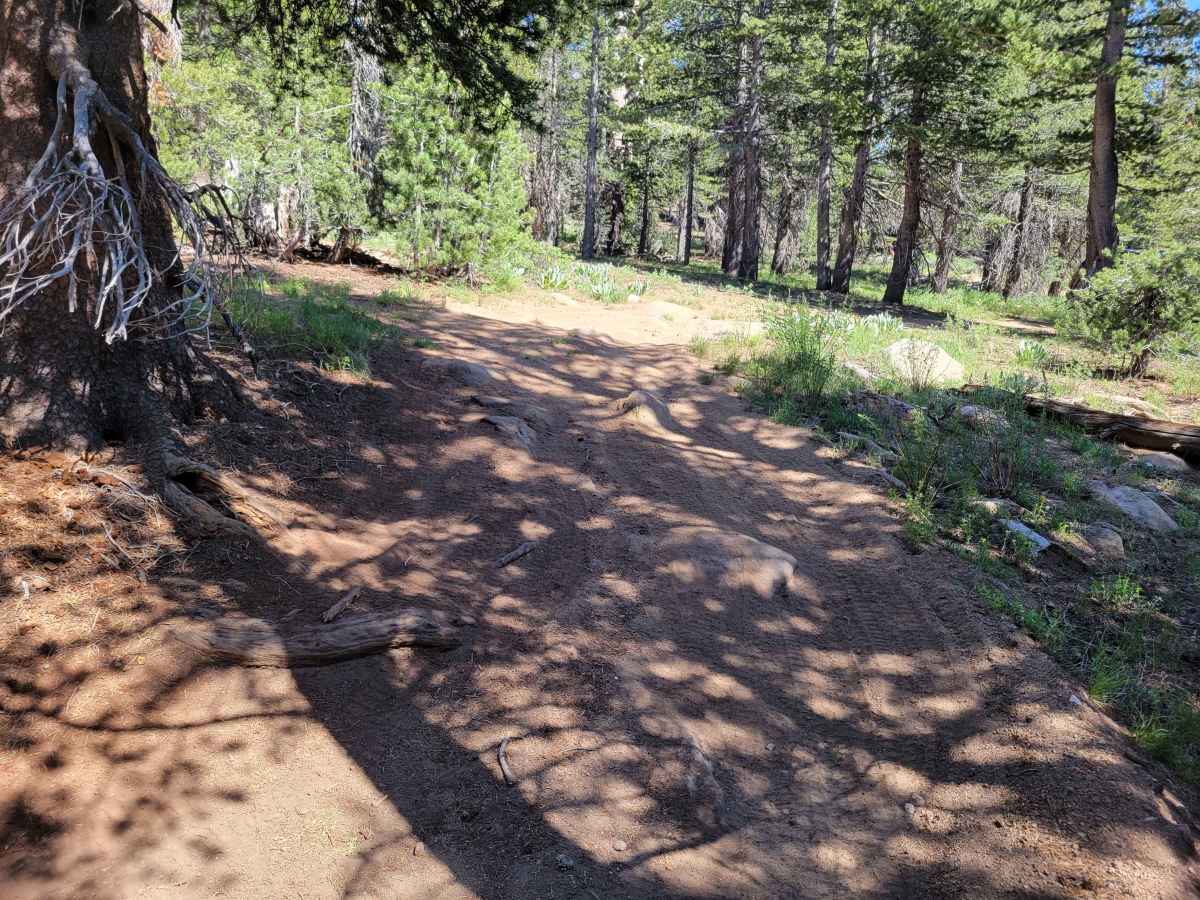 Pistol Point Trail photo 3