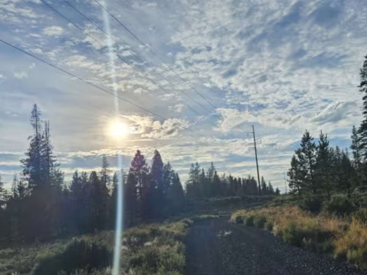 FS 2424017 photo 6