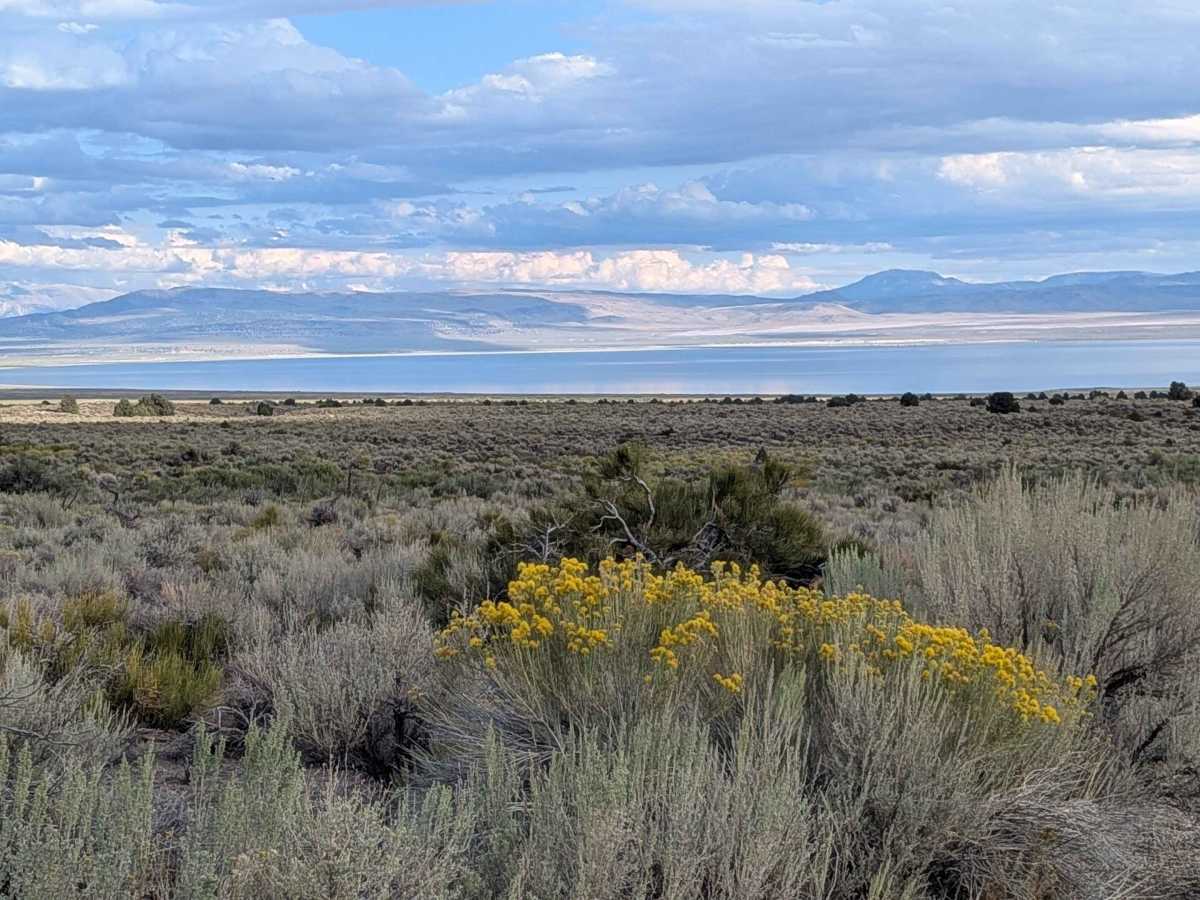 Coyote Springs Road photo 2