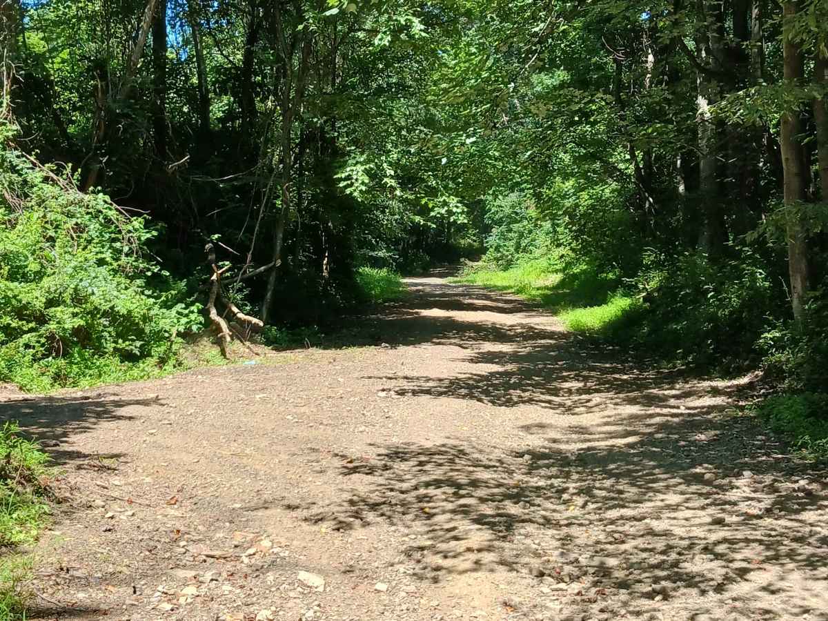 Holtz Hill Road - Rock Run Recreation Area photo 6