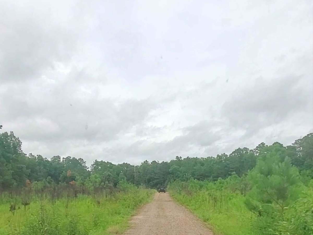Price Road (615) photo 2