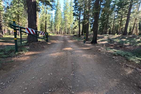 Sagehen Creek - FS 0011
