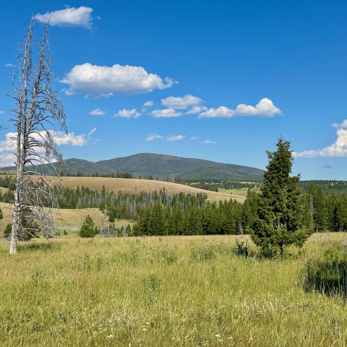 Near Continental Divide Trail: Montana-Idaho Section 20 (Ley Alternate)