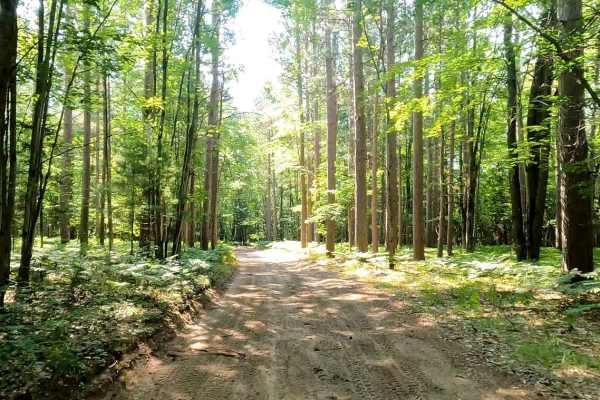 131 To Missaukee Trail