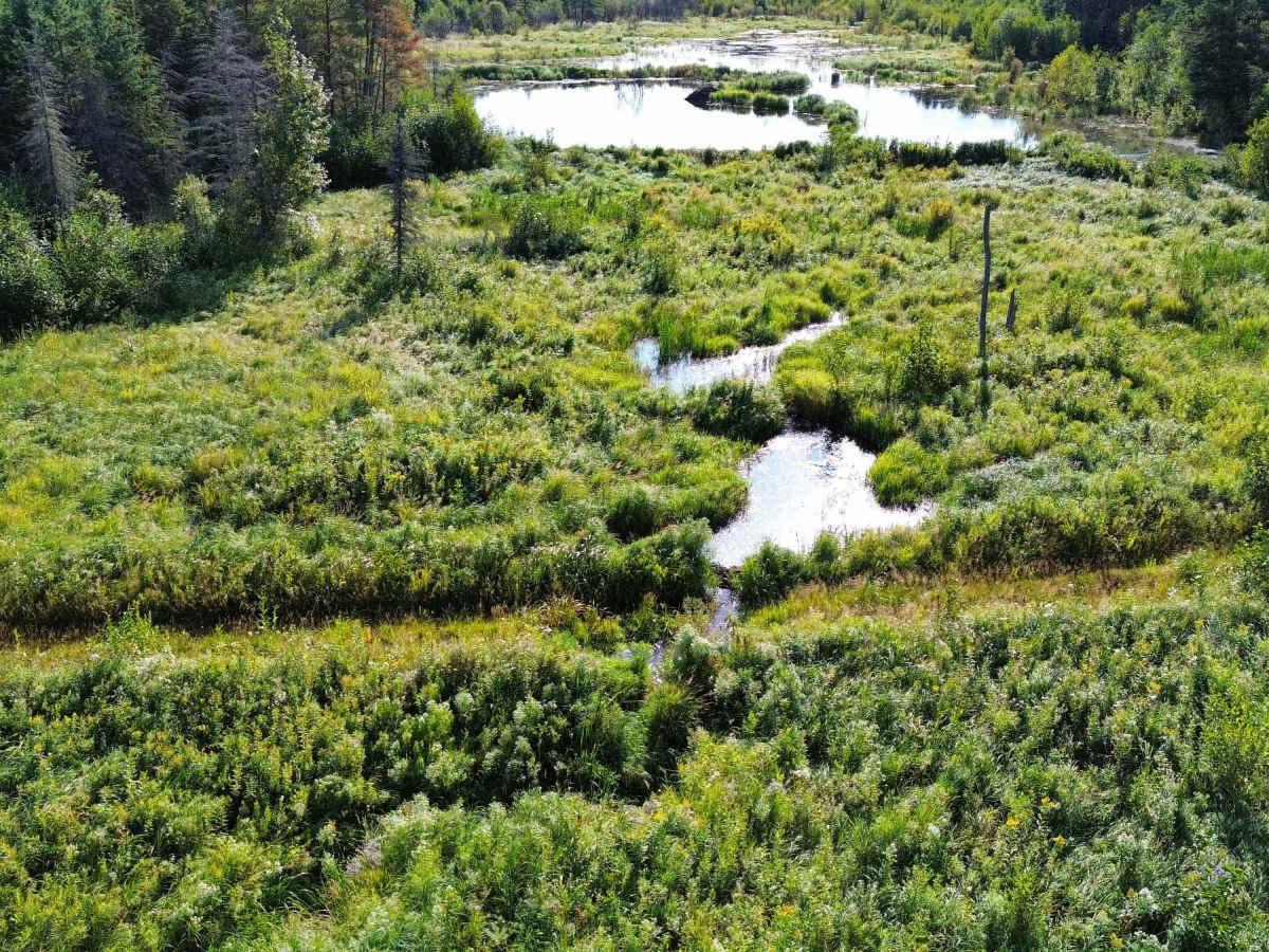 Jeep Mine Road photo 3