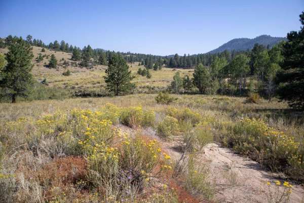Bald Mountain Gulch 2