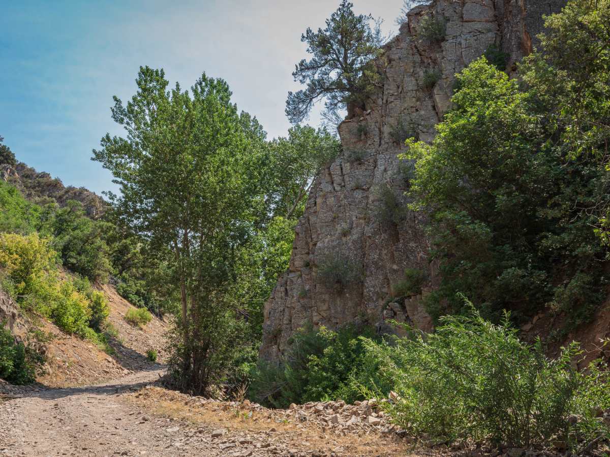Left Fork Hobble Creek - FS 70132 photo 6