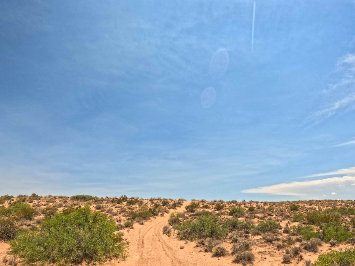 JH0099 trail photo