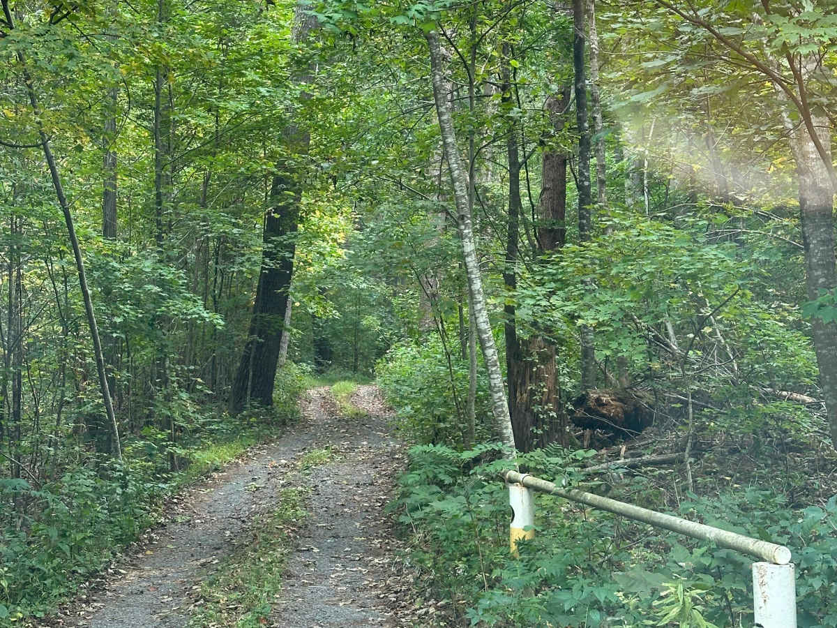 Kephart Run photo 5
