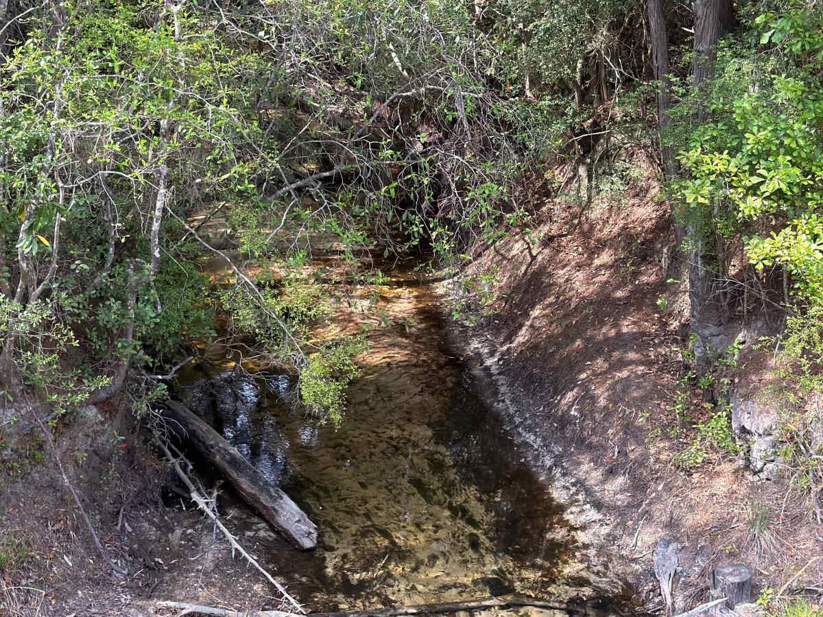 Mashourn Forks Road photo 5