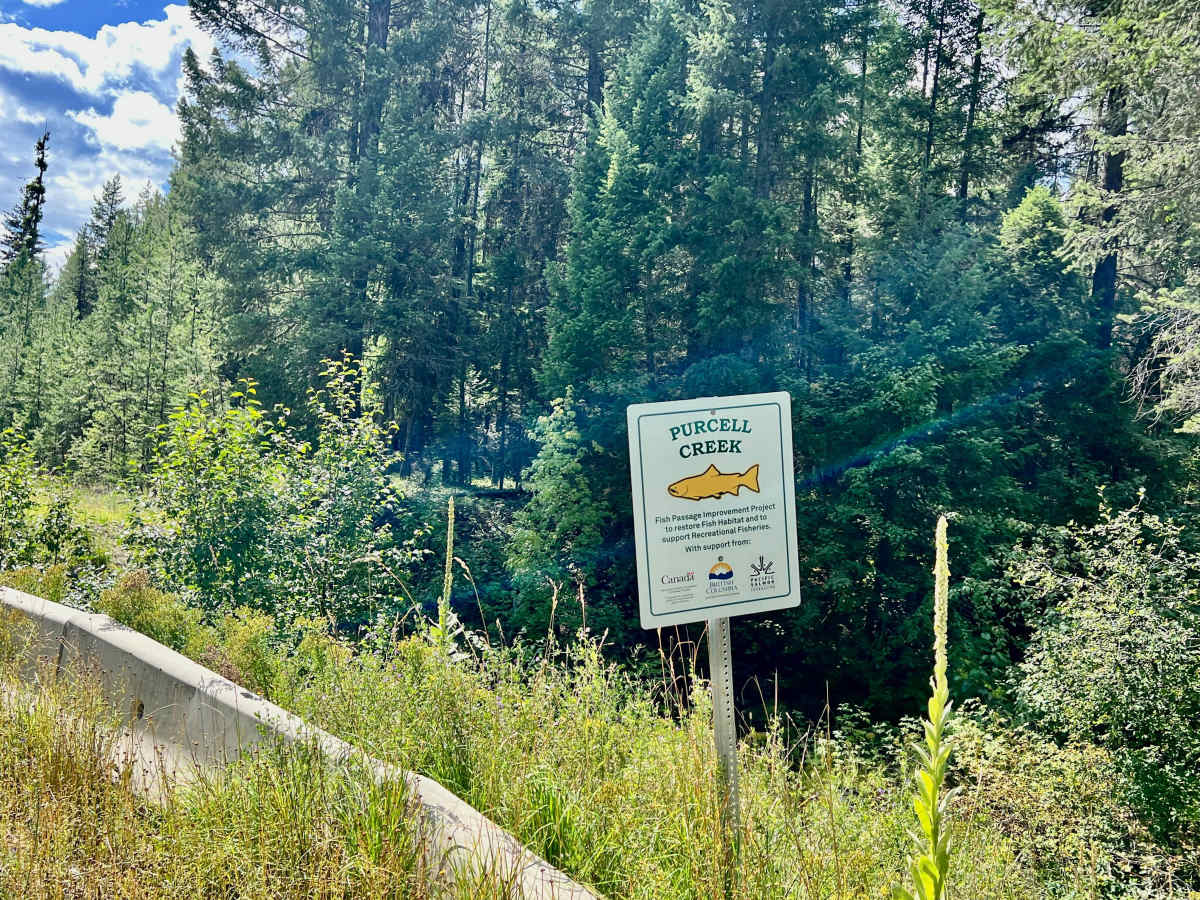 LinkLater Forest Service Road photo 4