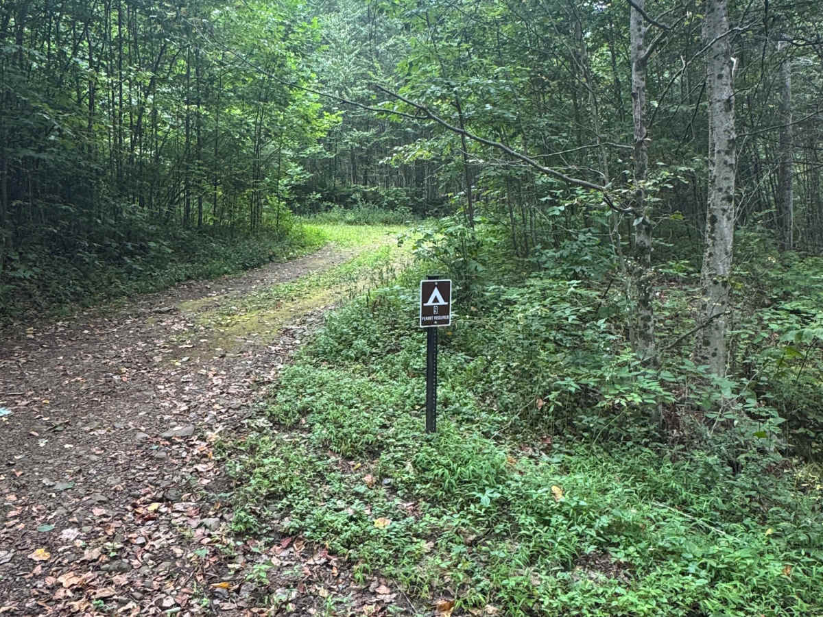 Long Run Road photo 4