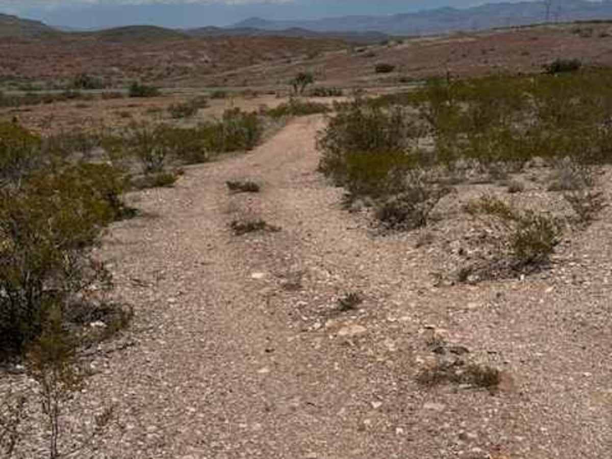 BLM SS1044 photo 6