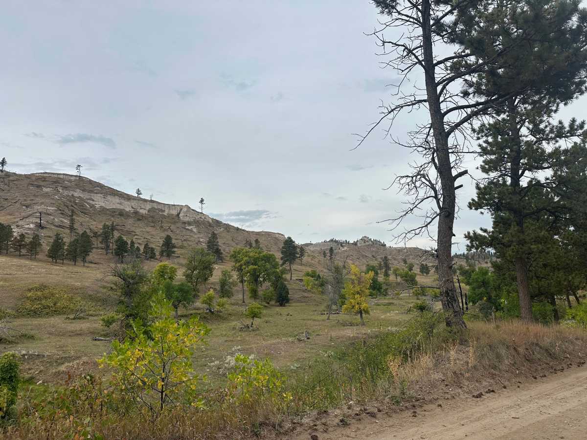 West Hat Creek Road trail photo