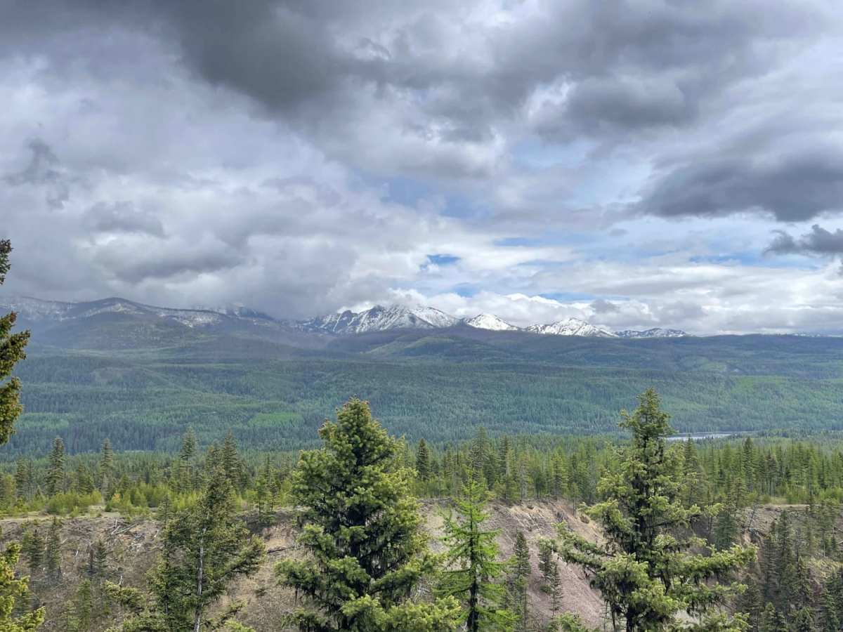 Richmond Marshall Hookup Trail trail photo