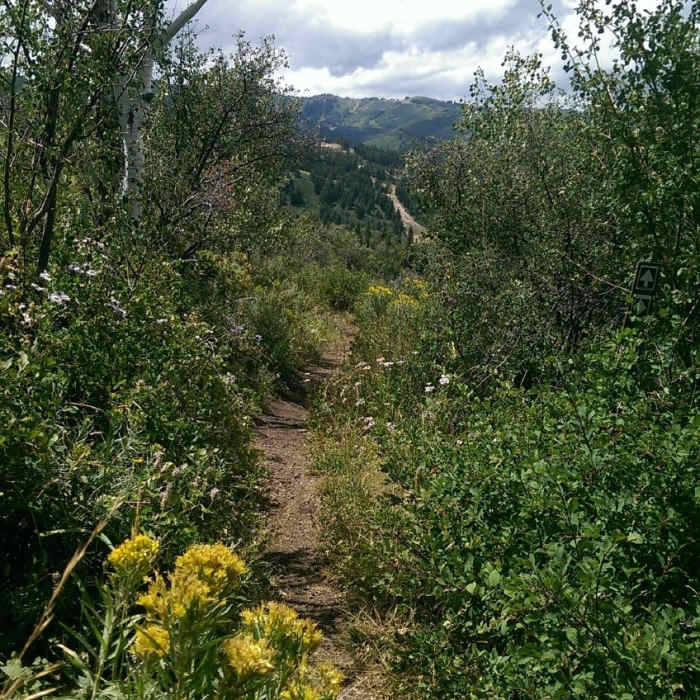 Views of Bald Mountain from the Outlook Trail Near Pipeline