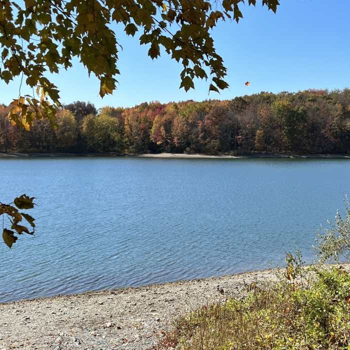 Near Ranger Trail South