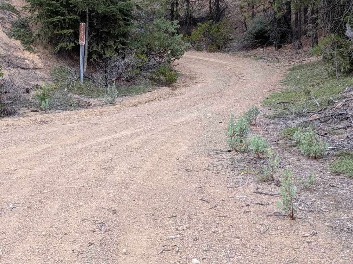 Dubakella Mountain Road - FS 30N27 trail photo
