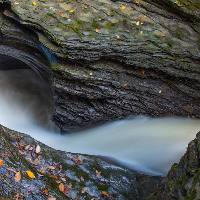 Near Gorge Trail Near Gorge Trail