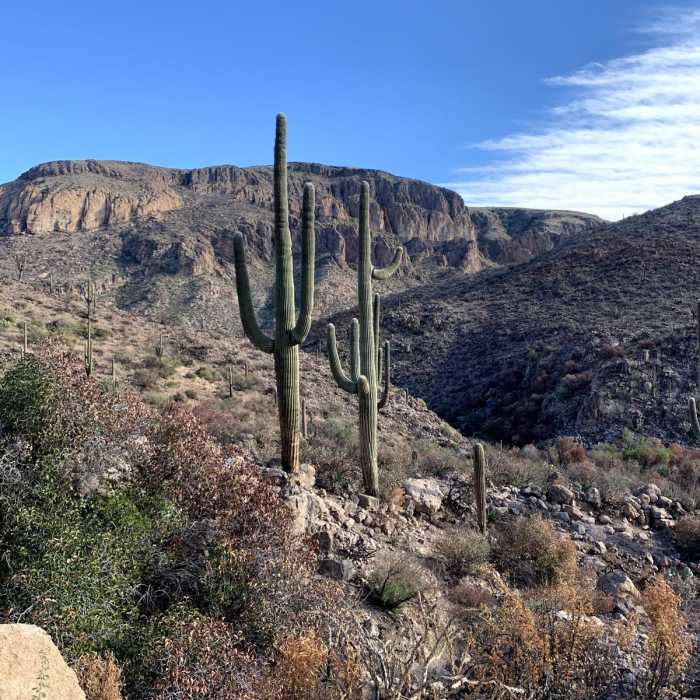 Near West Side Superstition Wilderness Loop Near West Side Superstition Wilderness Loop