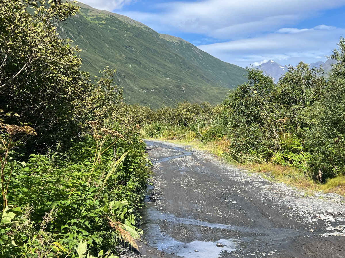 Mineral Creek trail photo