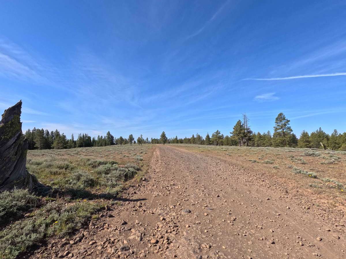 Brushy Road trail photo