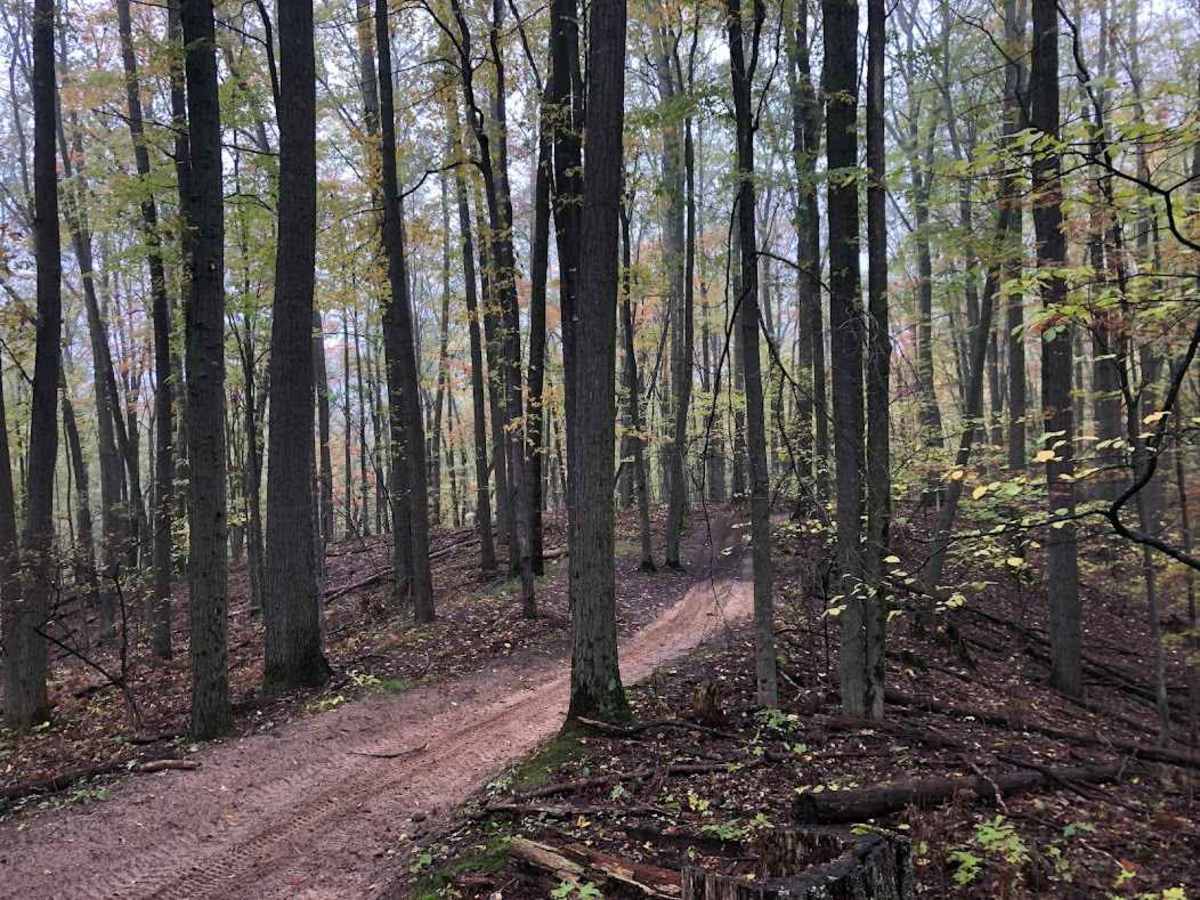 Little "O" Motorsport Trail photo 5