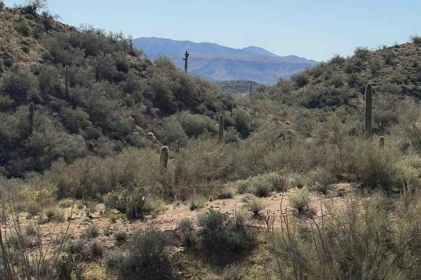 Black Canyon Trail 