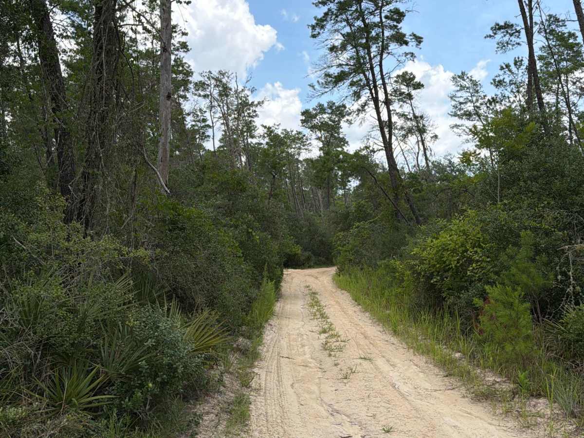 ONF 22-13.8 trail photo