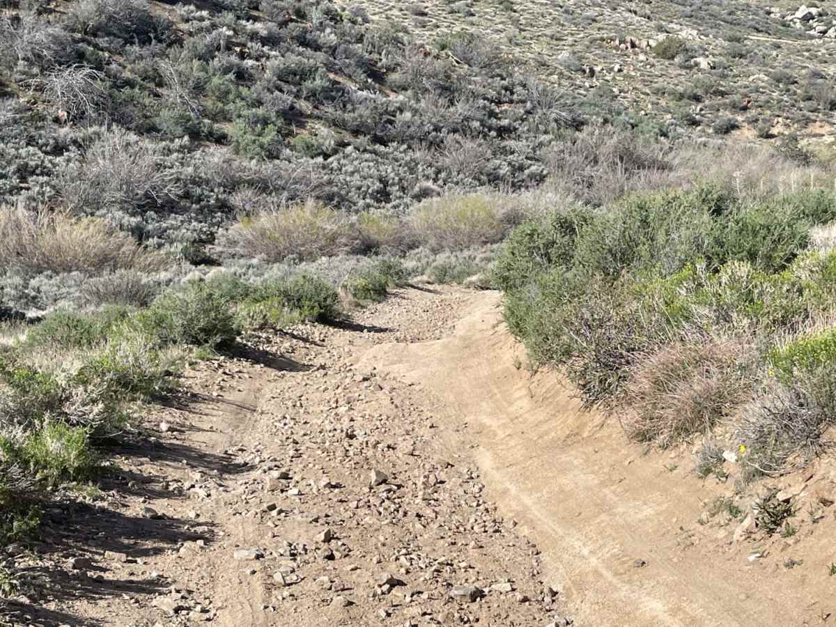 Oak Springs photo 5