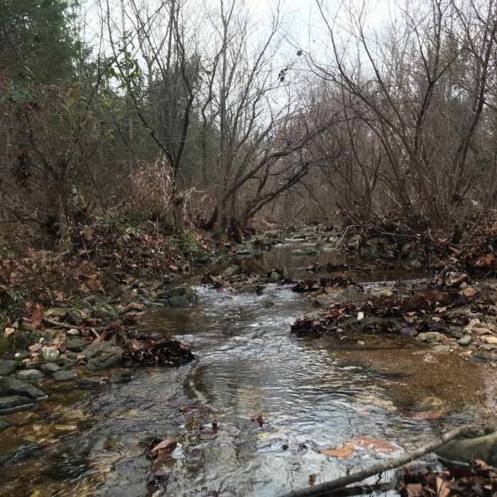 Near Frog Hollow Trail