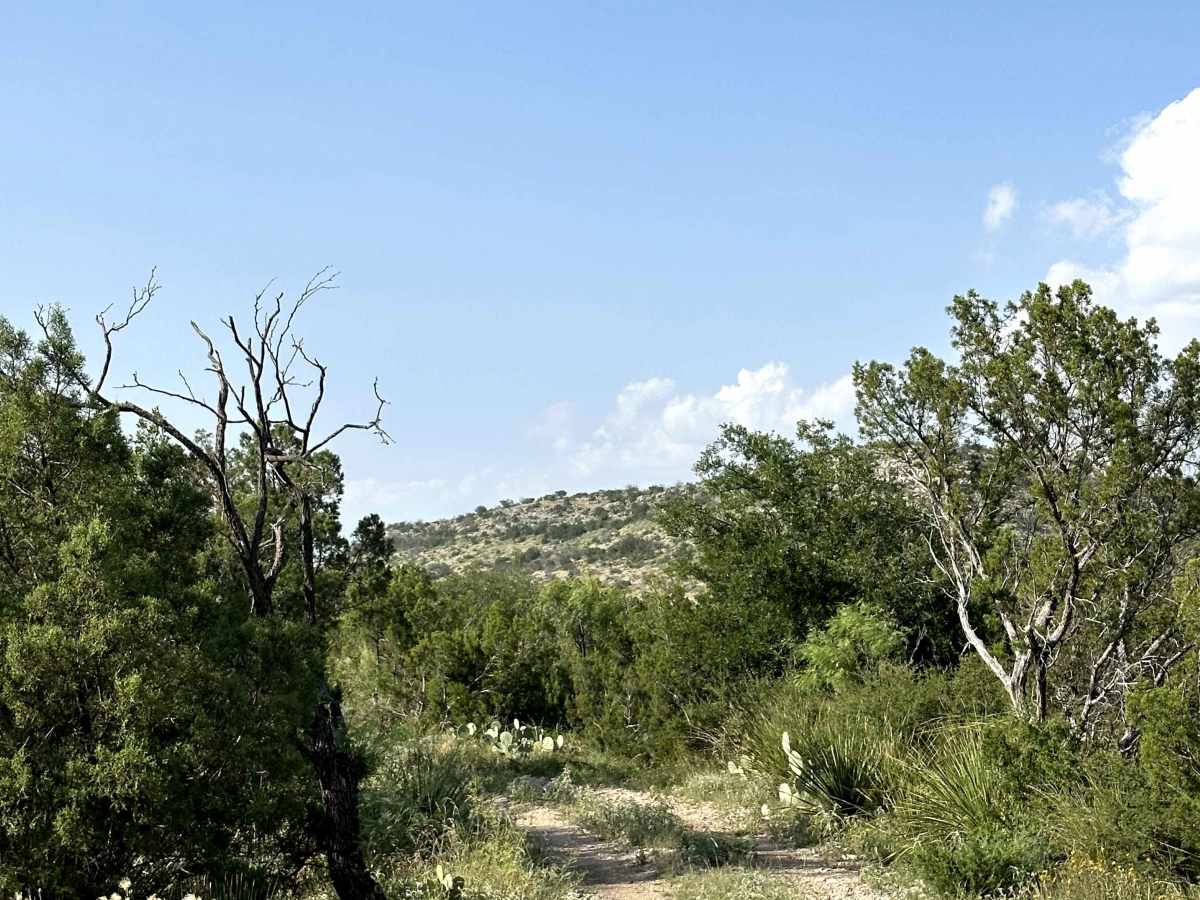 Escondido Trail - V36 photo 5