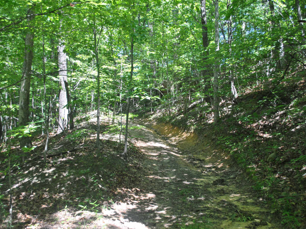 51 trail photo